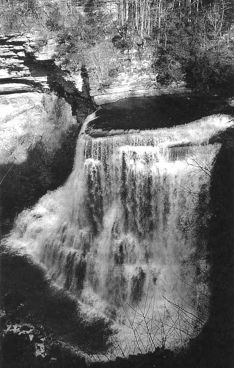 Picture of Burgess Falls