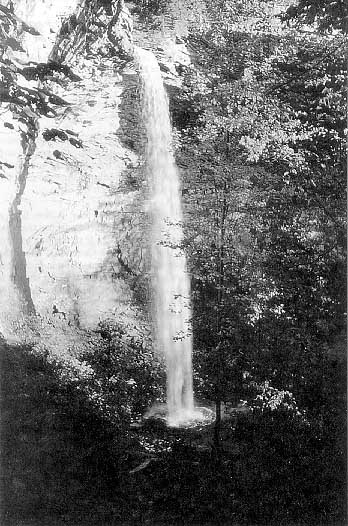 Picture of Ozone Falls