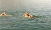 2000.24.16: Gail S, Gail, and Bosco swimming [1]