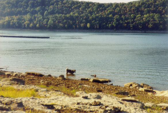 2000.24.28: Beach with Sascha and Bosco